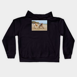 Playing on the beach Spinoni Kids Hoodie